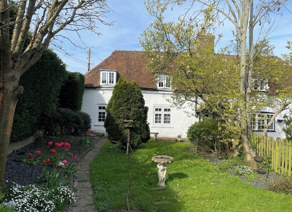Primary image