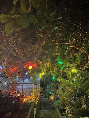 thumbnail: Garden view