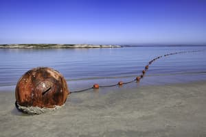 thumbnail: Beach