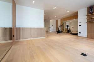 thumbnail: In-room fitness