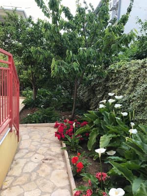 thumbnail: Garden