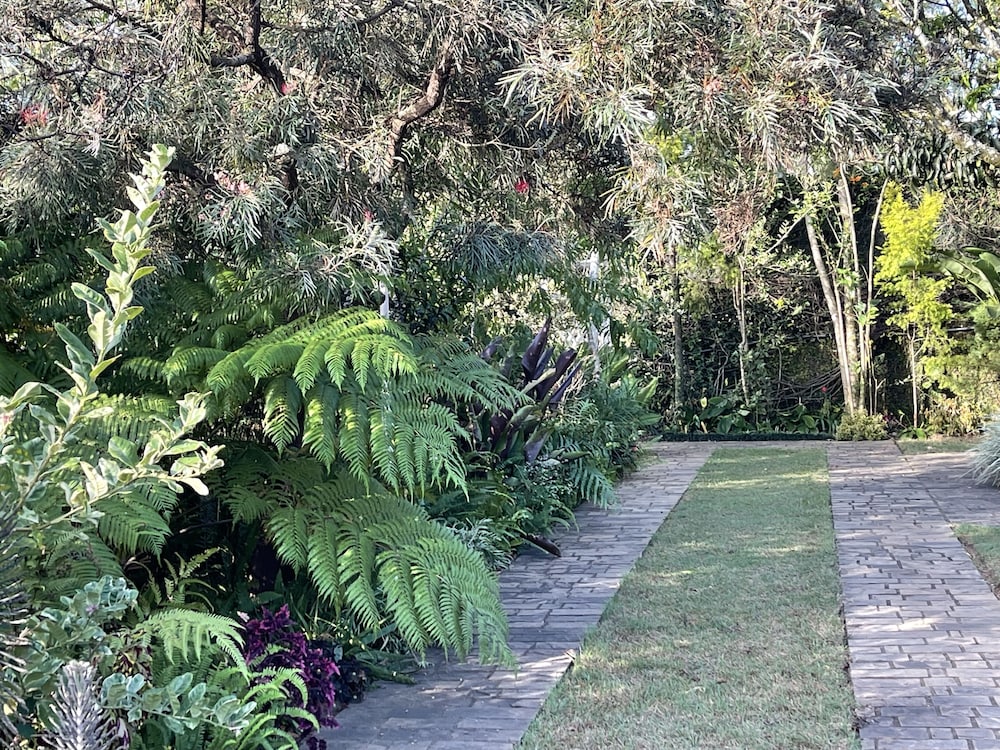 Garden view