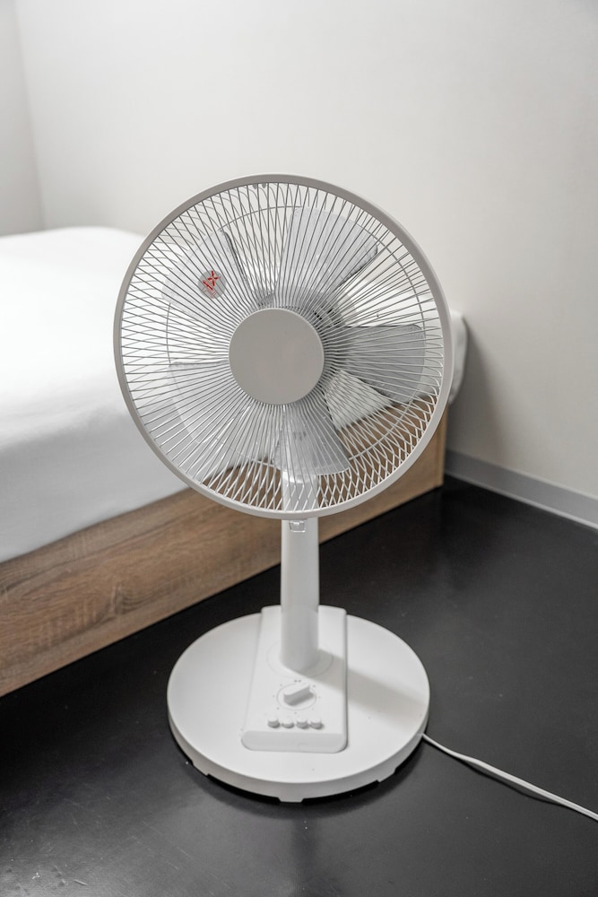 Fan
