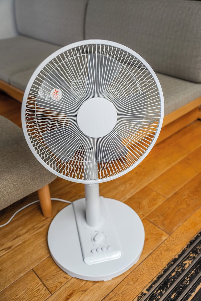 Fan