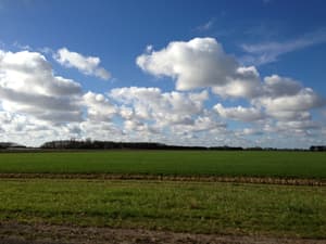 thumbnail: View from property