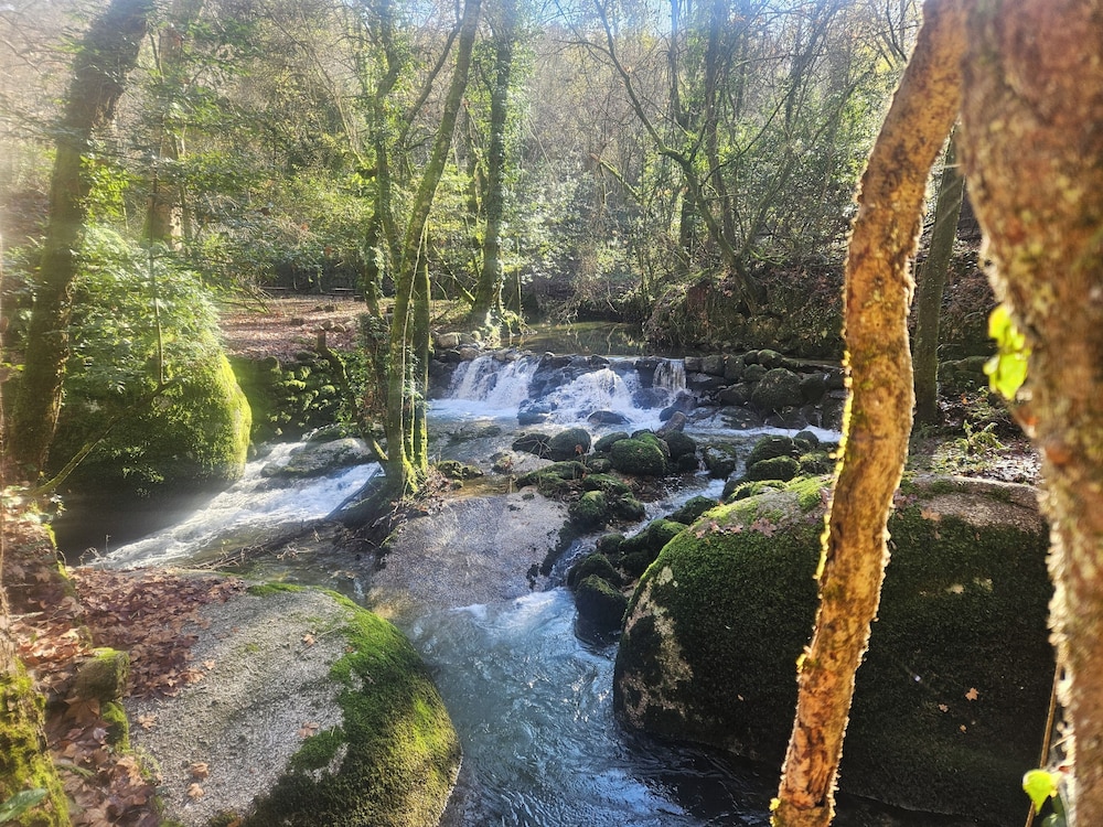 Natural pool