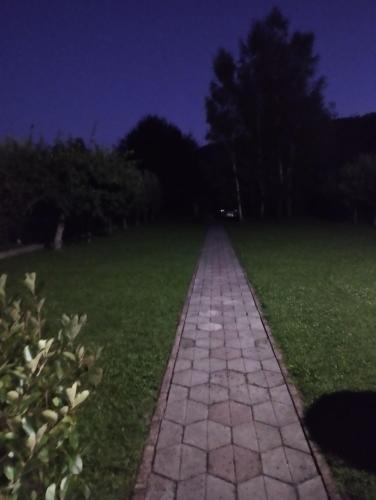 827249309.jpg