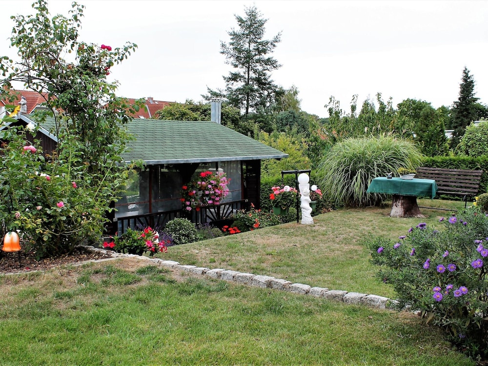 Primary image