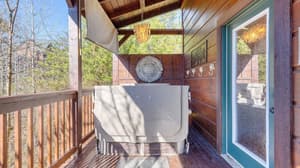 thumbnail: Interior