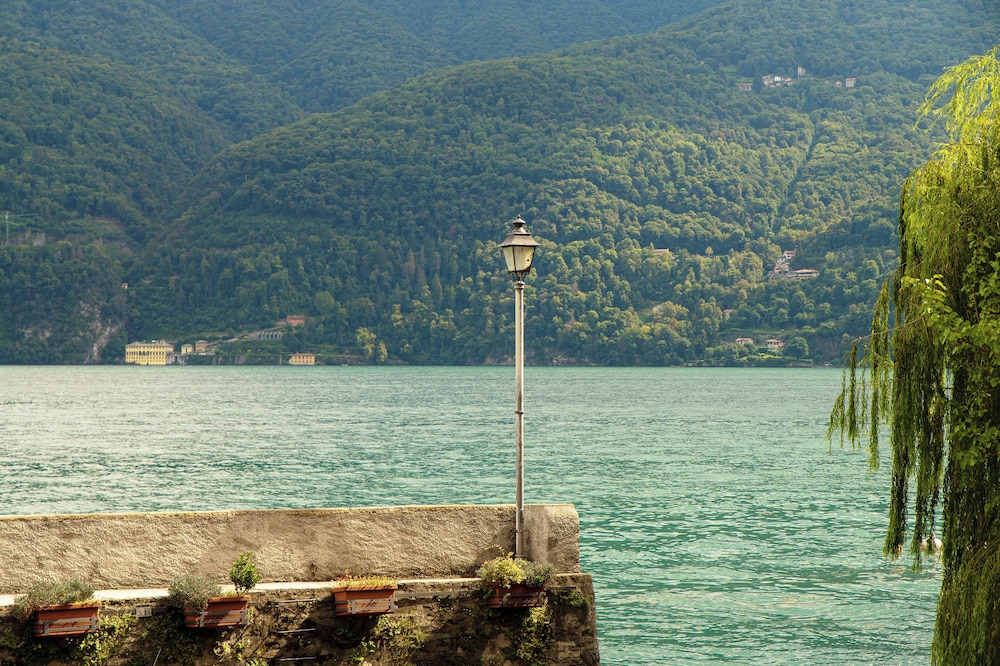 Lake view