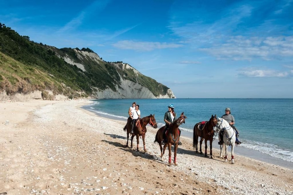 Horseback riding