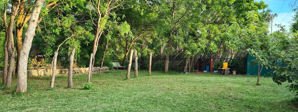 Outdoor banquet area