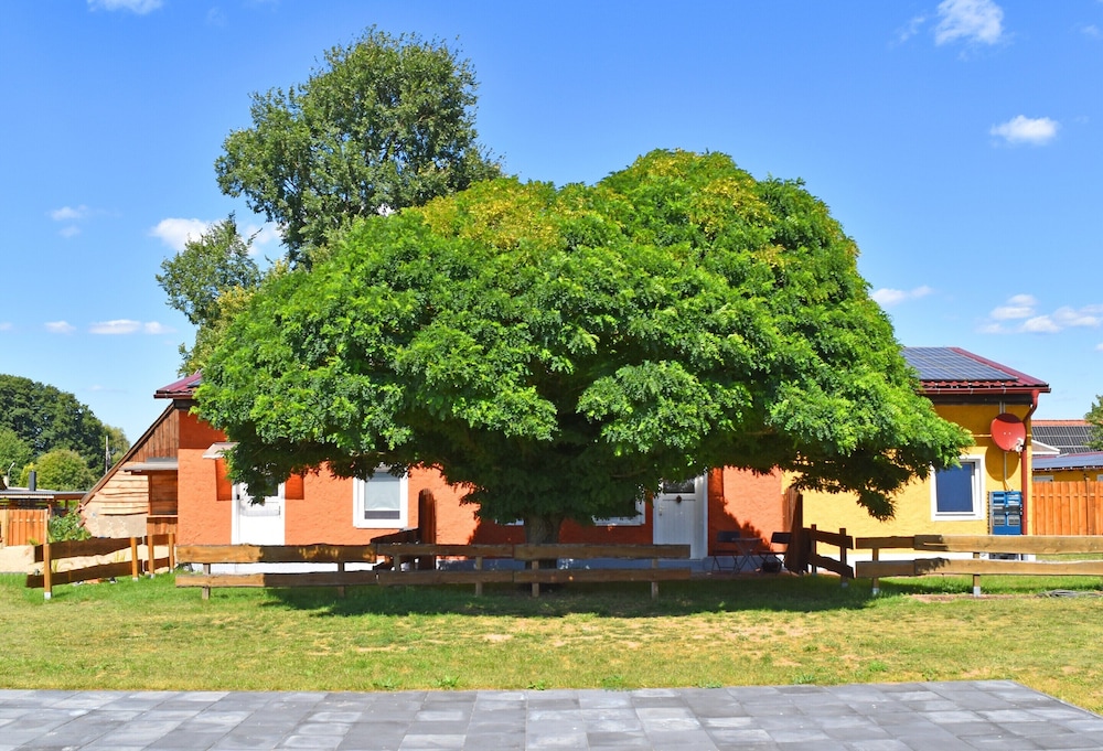 Primary image