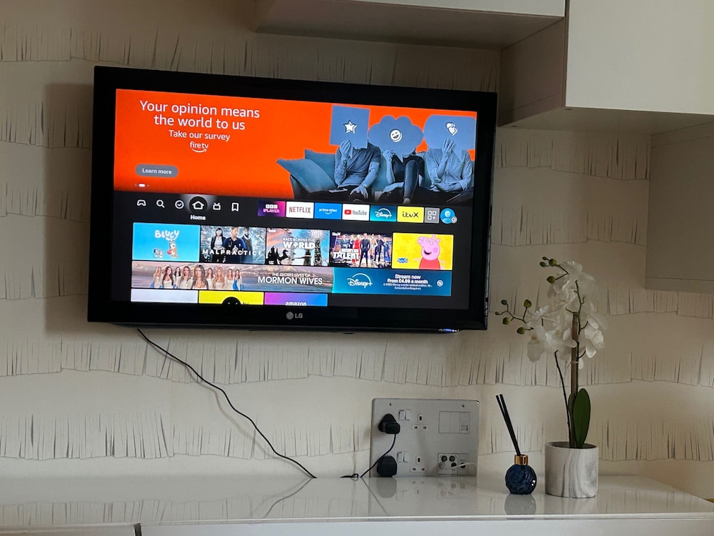 Television