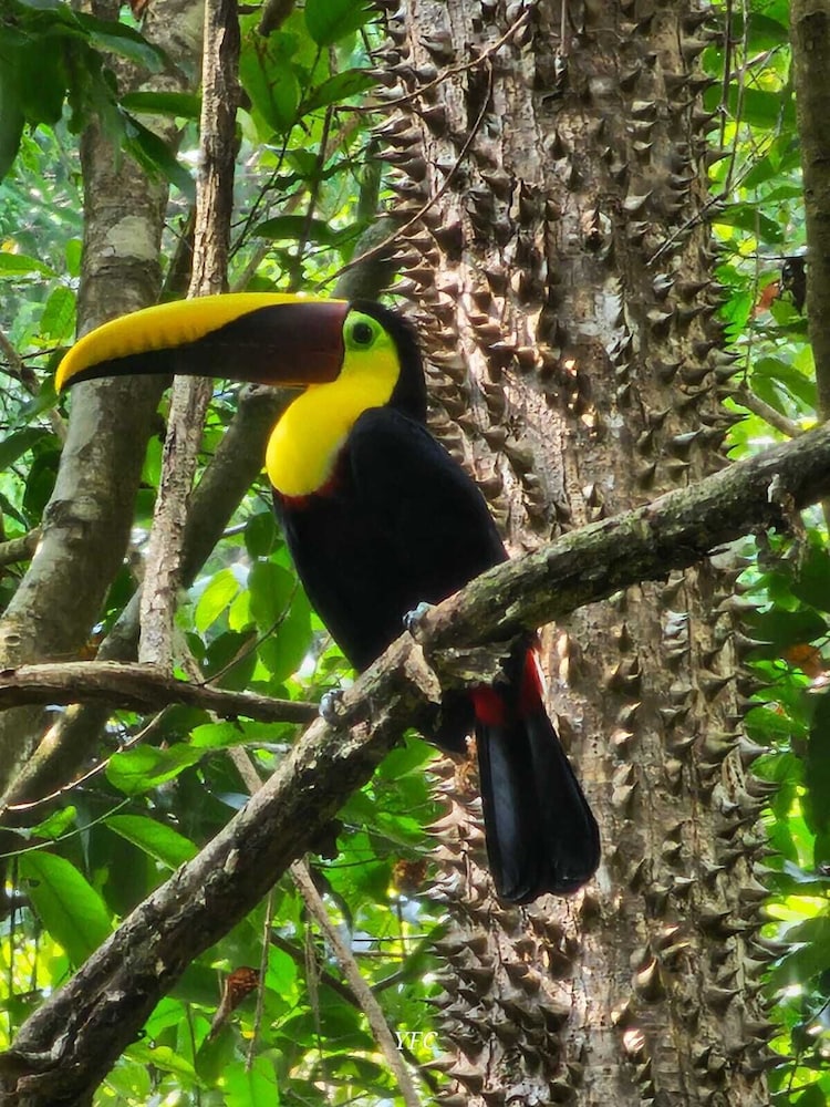 Ecotours