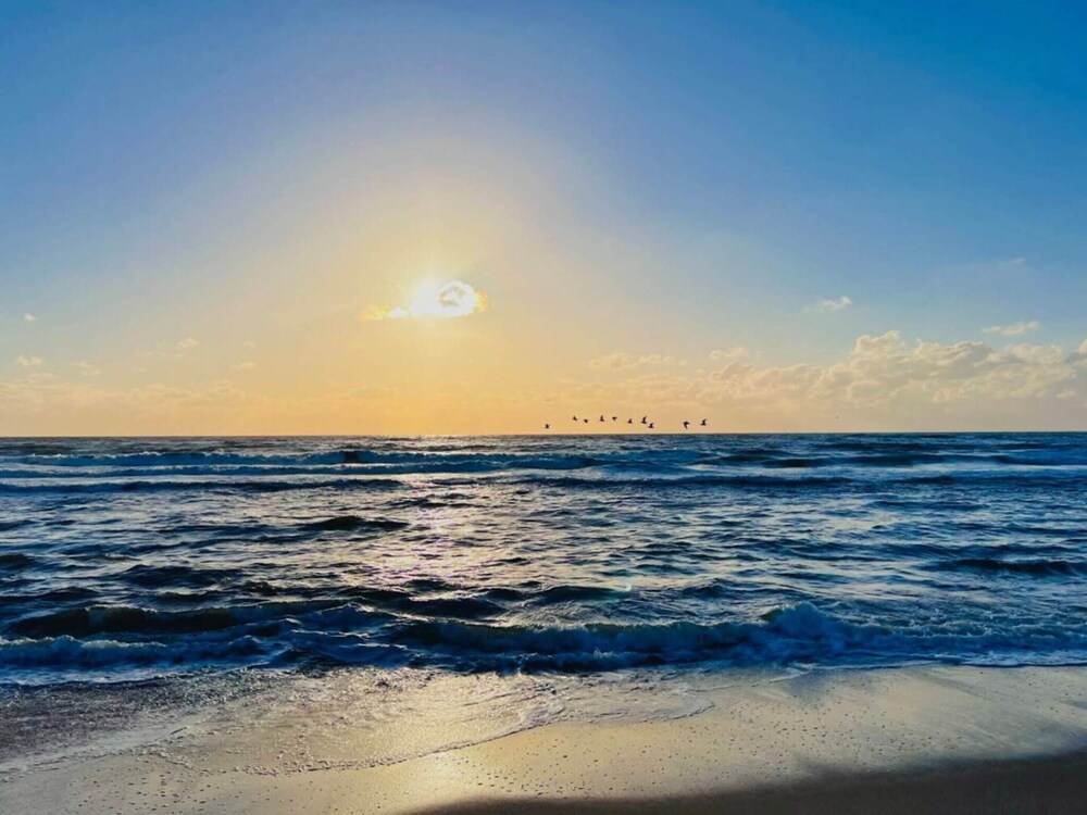 Water view