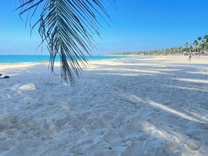 thumbnail: Beach