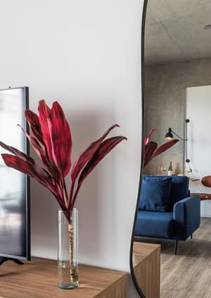 thumbnail: Interior