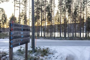 thumbnail: Exterior detail
