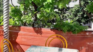 thumbnail: Balcony