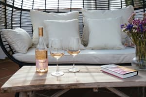 thumbnail: Terrace/patio