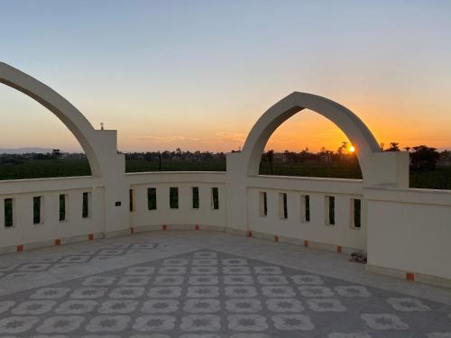 283133641.jpg
