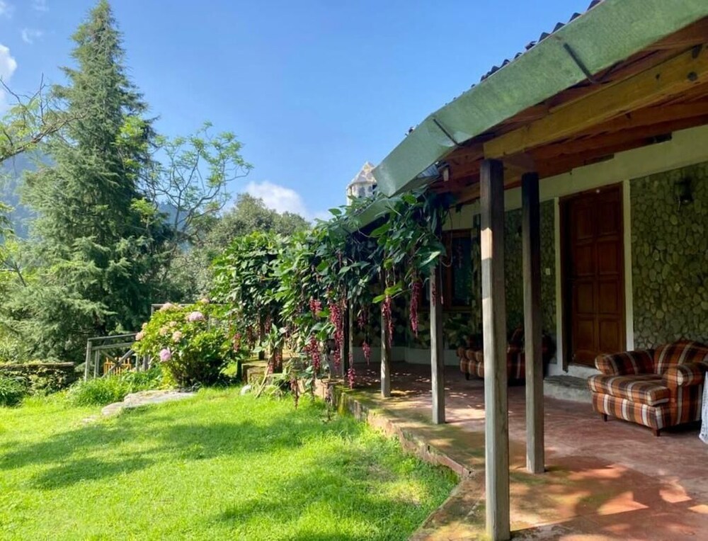 Garden view