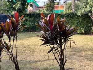 thumbnail: 41e67fb619aa837d771b309839a0cdaa.jpg