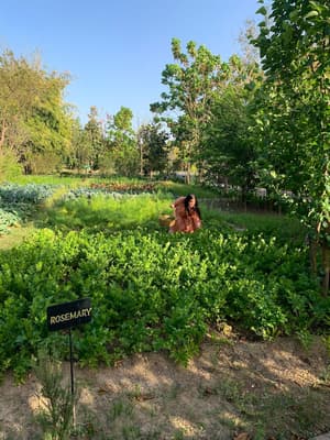 thumbnail: Garden