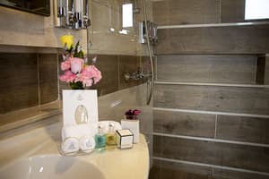 thumbnail: Bathroom amenities