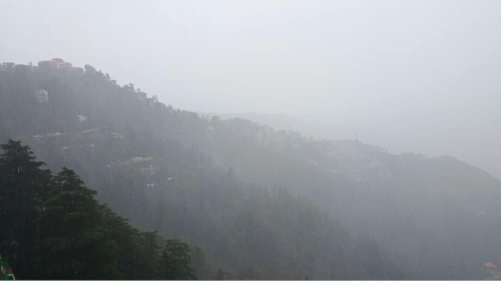 View from room