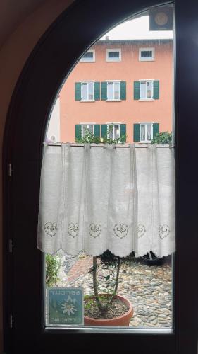 851091133.jpg