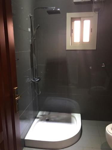 91597229.jpg