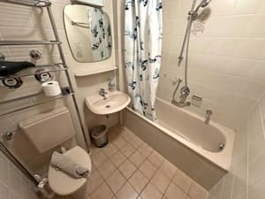 thumbnail: 684512176.jpg
