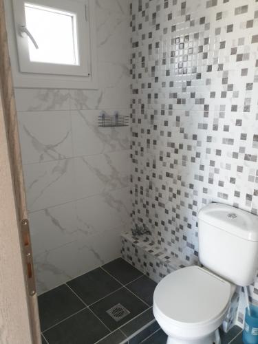 364416786.jpg