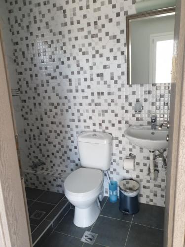 364416798.jpg