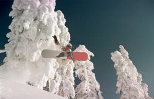thumbnail: Snow and ski sports