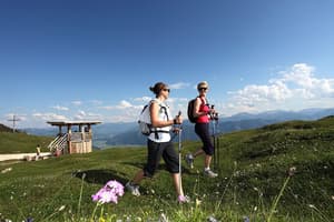 thumbnail: Hiking