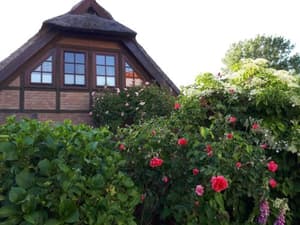 Zingst thumbnail