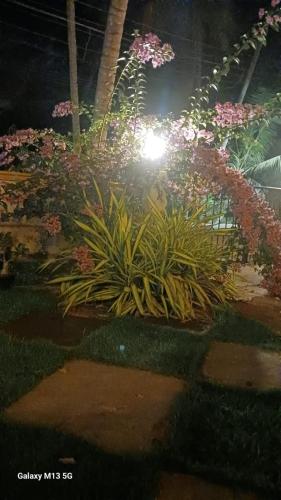 506018838.jpg