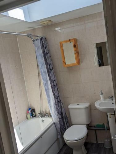 384911748.jpg