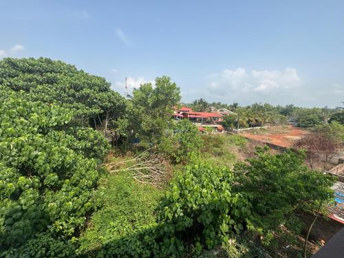 702167689.jpg