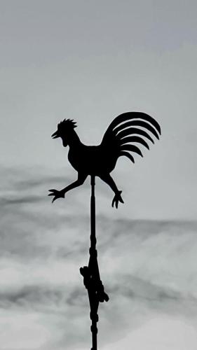 625944503.jpg