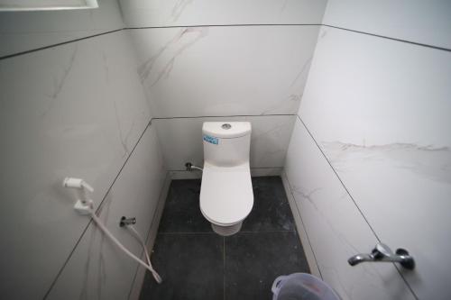 631347874.jpg