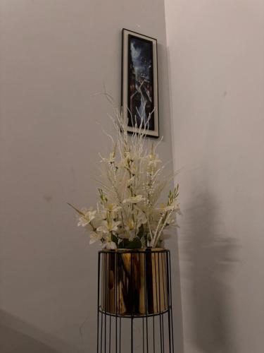 815893212.jpg