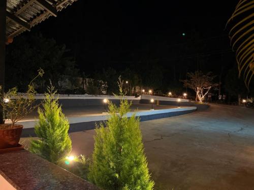 710733734.jpg