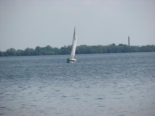 703549575.jpg