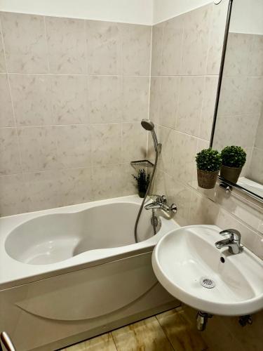 550010650.jpg