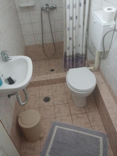 217494880.jpg