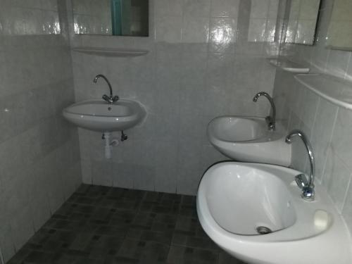337094297.jpg